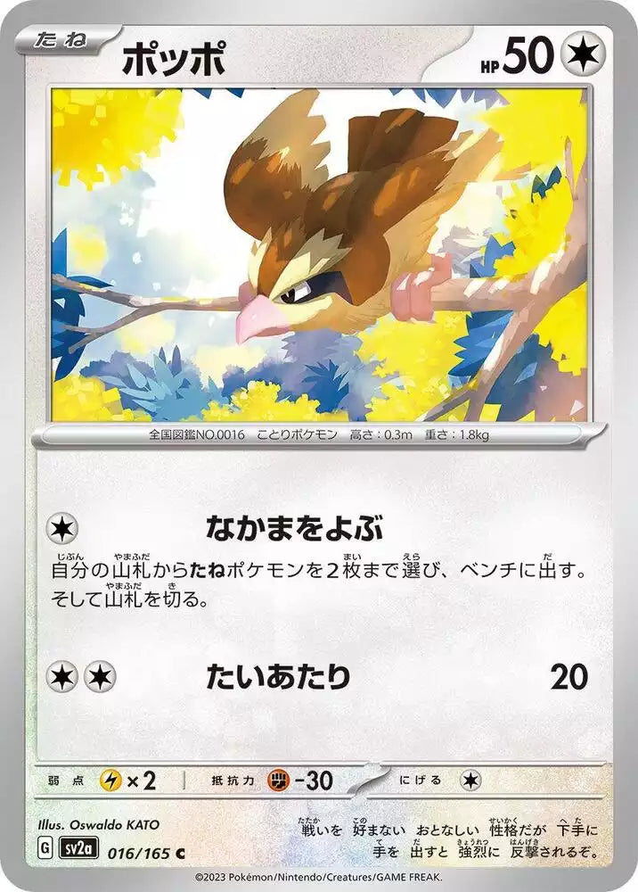 Pokémon TCG Card Pidgey