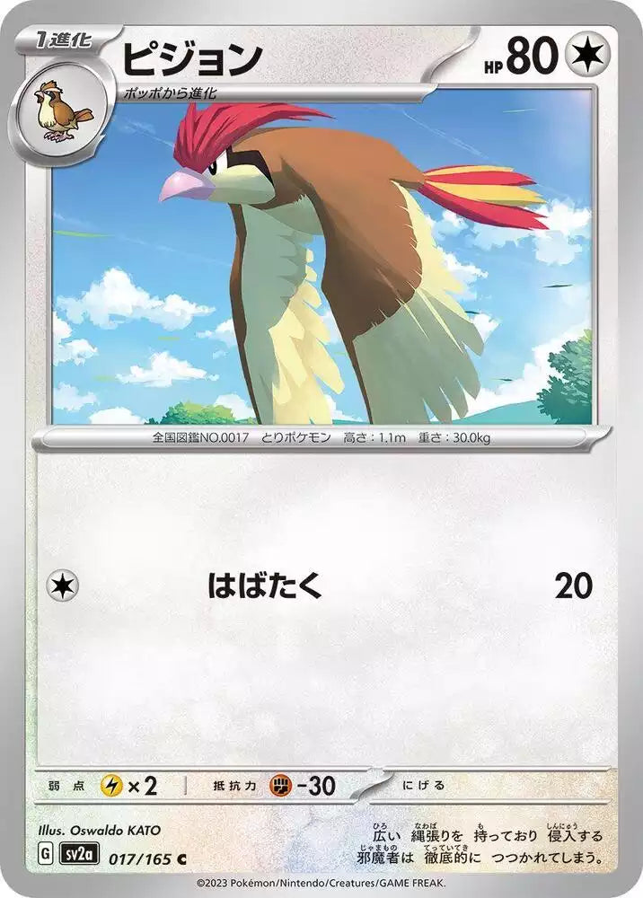 Pokémon TCG Card Pidgeotto