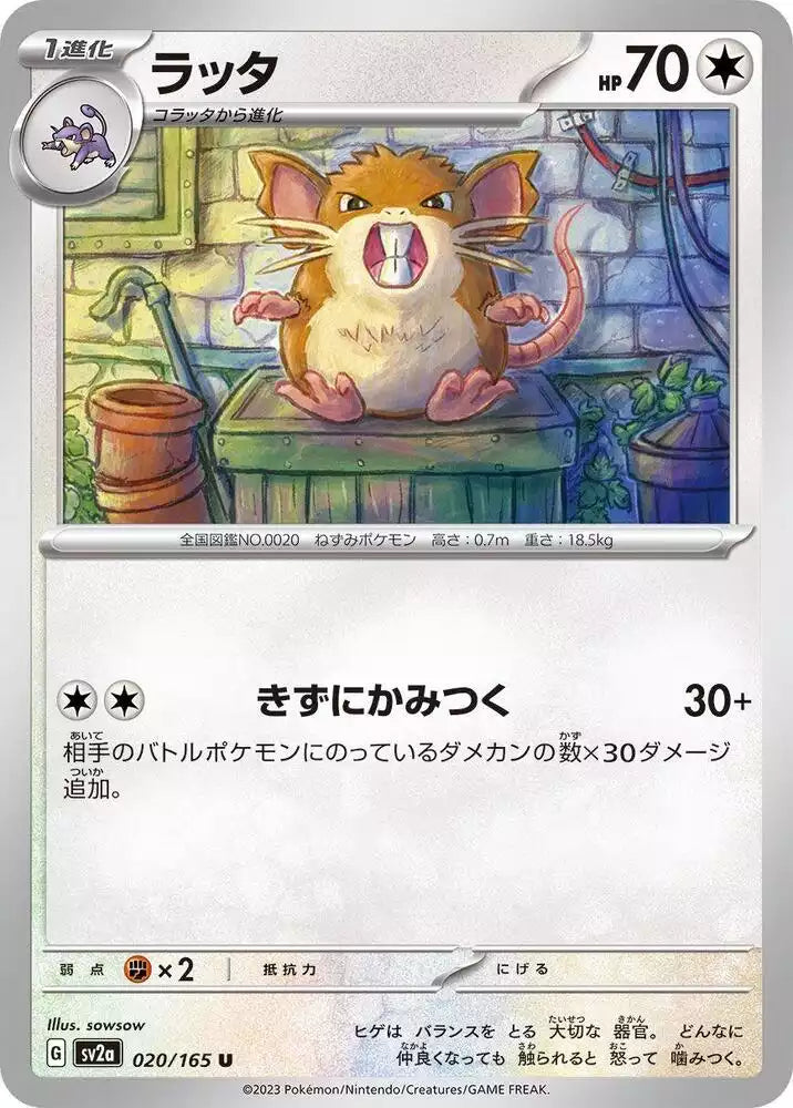 Pokémon TCG Card Raticate