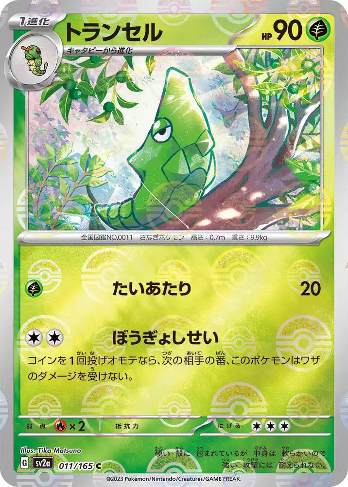 Pokémon TCG Card Metapod (Poke Ball Pattern)