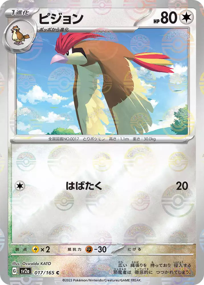 Pokémon TCG Card Pidgeotto (Poke Ball Pattern)