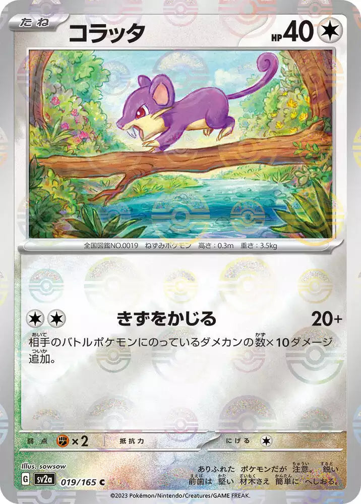 Pokémon TCG Card Rattata (Poke Ball Pattern)