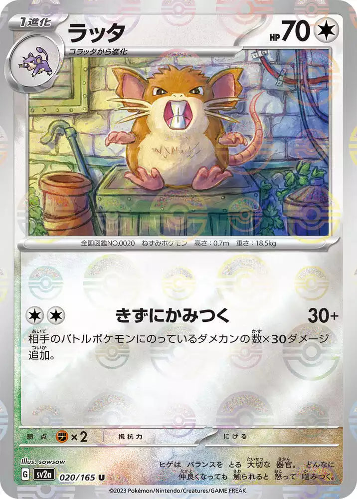 Pokémon TCG Card Raticate (Poke Ball Pattern)
