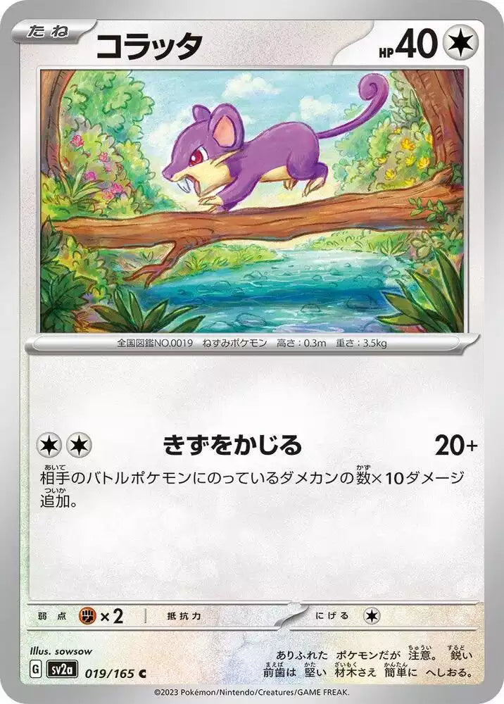 Pokémon TCG Card Rattata