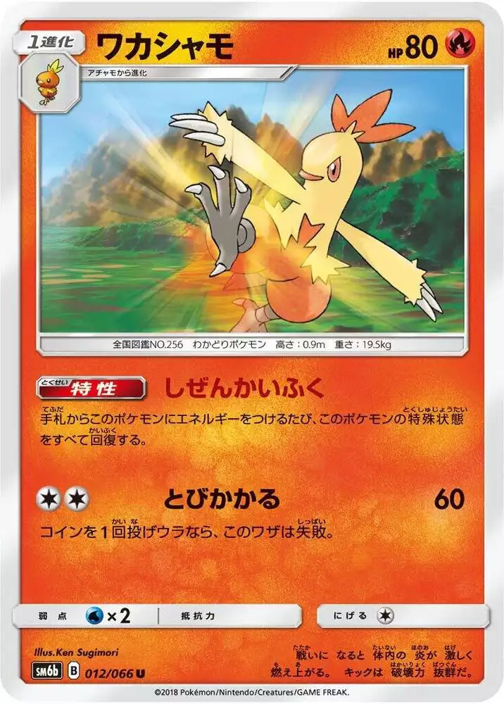 Pokémon TCG Card Combusken